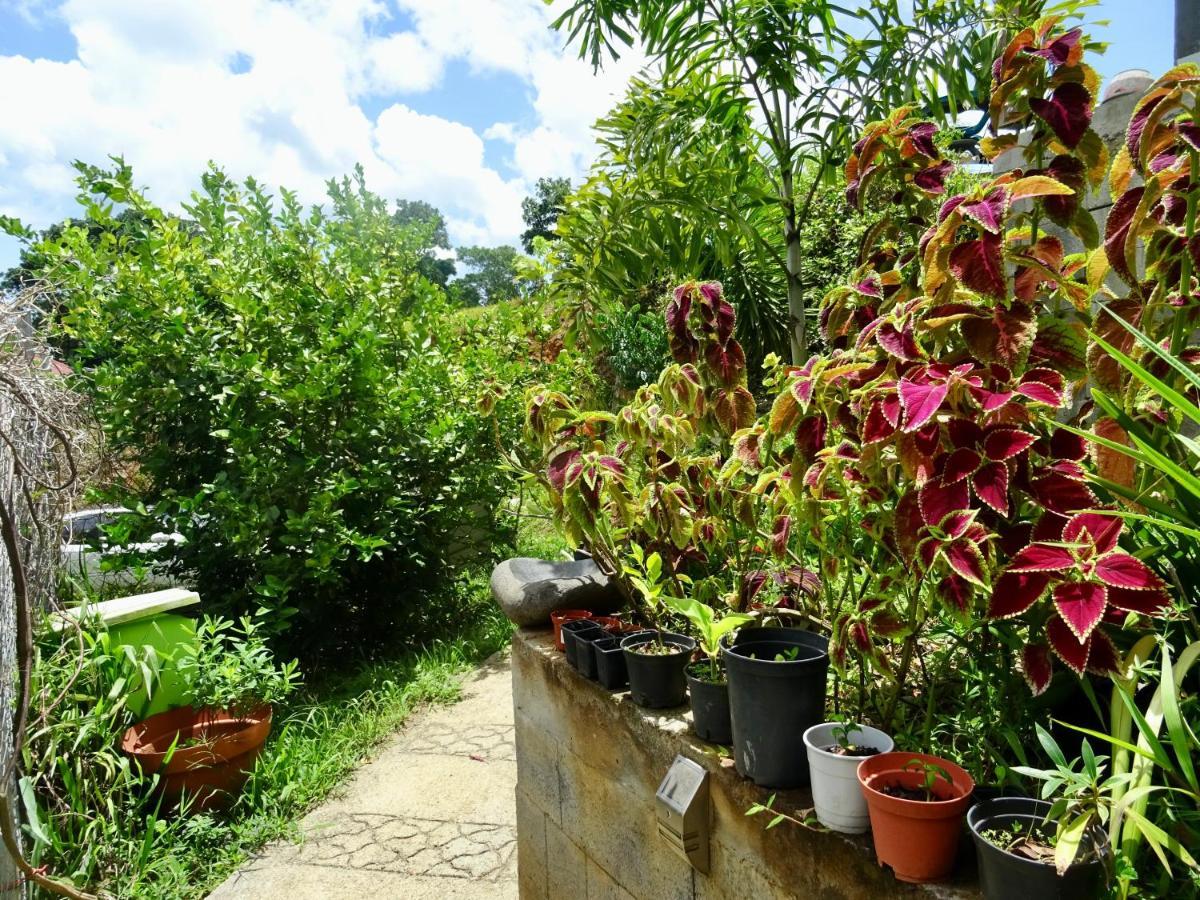 Bungalow Dourou Деше Экстерьер фото